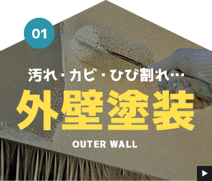 01 汚れ・カビ・ひび割れ… 外壁塗装 outer wall